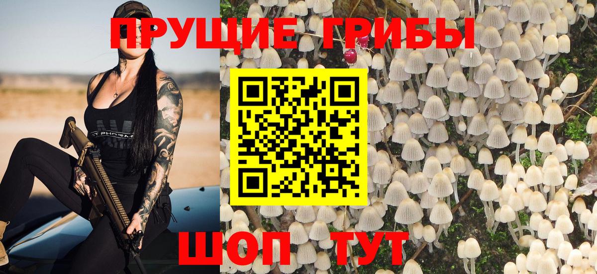 Галлюциногенные грибы прущие грибы Семилуки