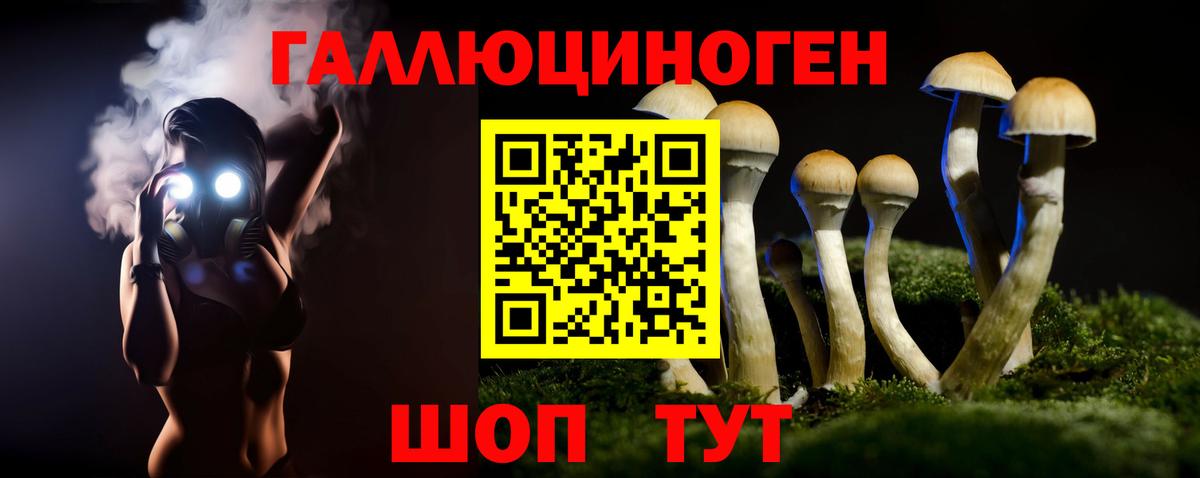 Галлюциногенные грибы Psilocybine cubensis  Псилоцибиновые грибы Cubensis  Семилуки  Вход с VPN 